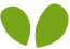 https://smartstartuae.fun/wp-content/uploads/2022/04/green_leaf.png